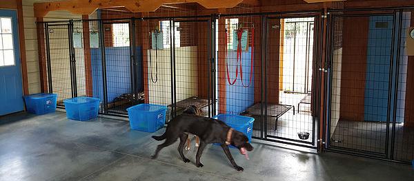 Dog Friendly Galion, OH