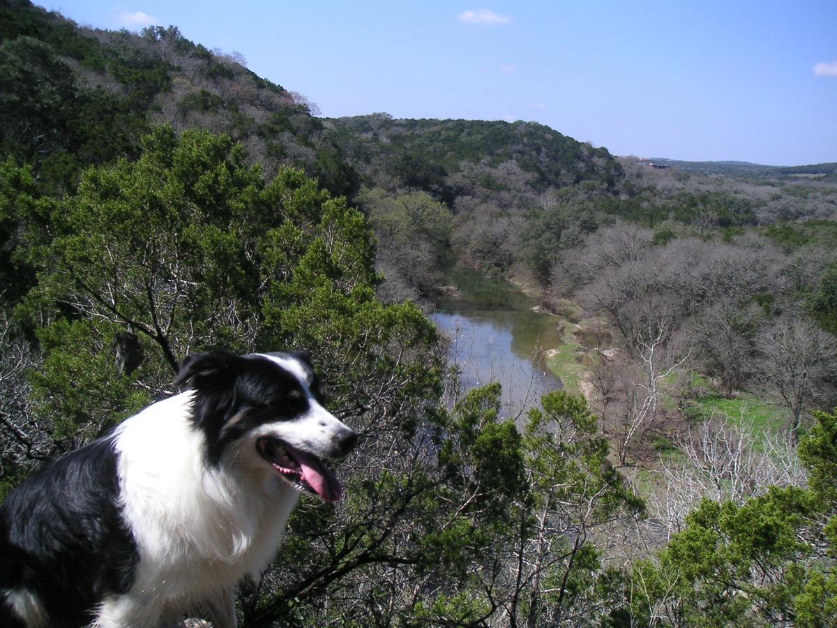 Dog Friendly Marble Falls, TX