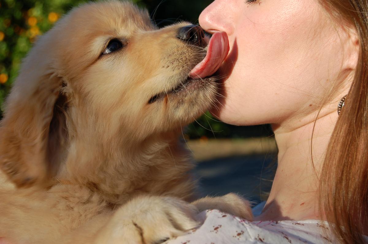 Смотреть dog lick pussy girl pussy girl