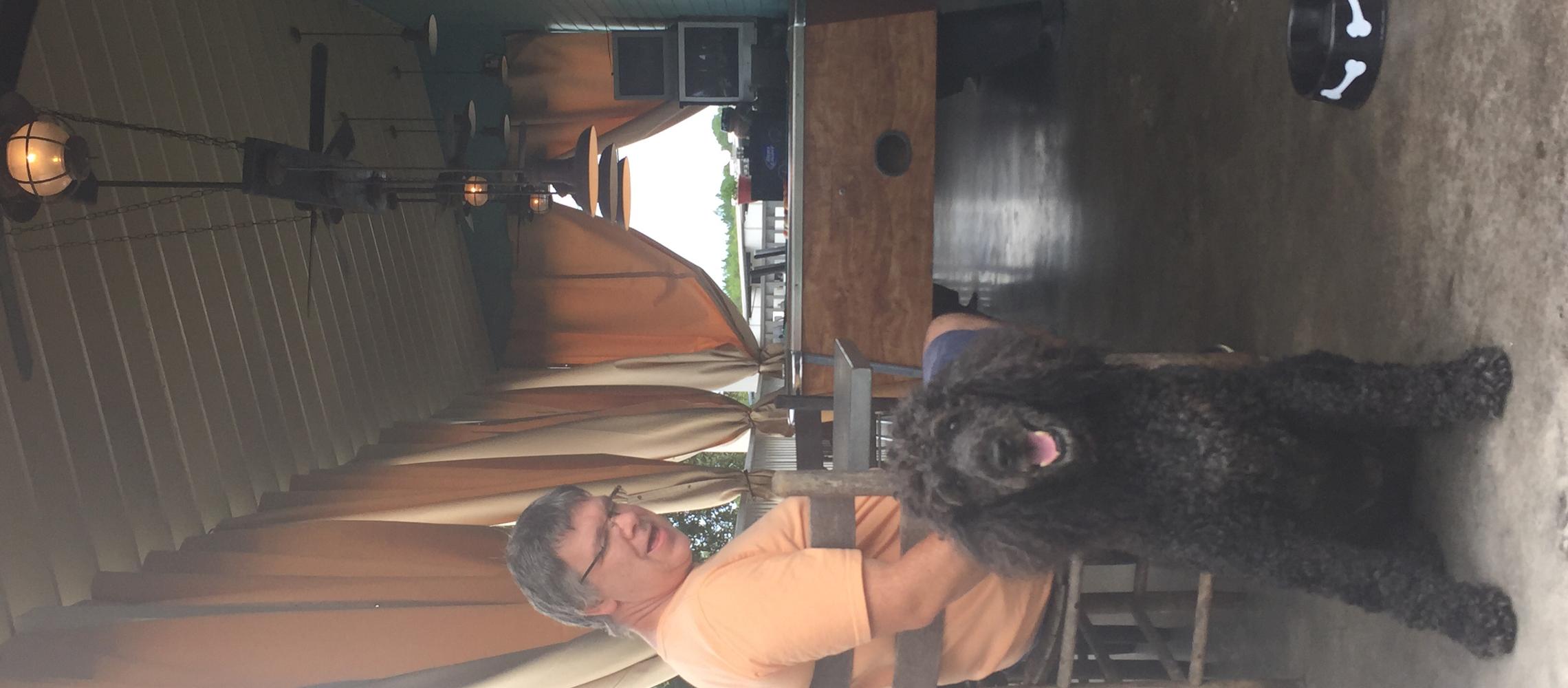 Dog Friendly Laguna Beach, FL