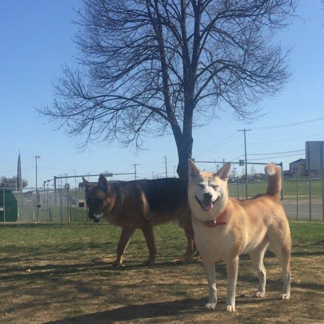 Off-Leash Dog Parks in Jim Thorpe, PA - BringFido