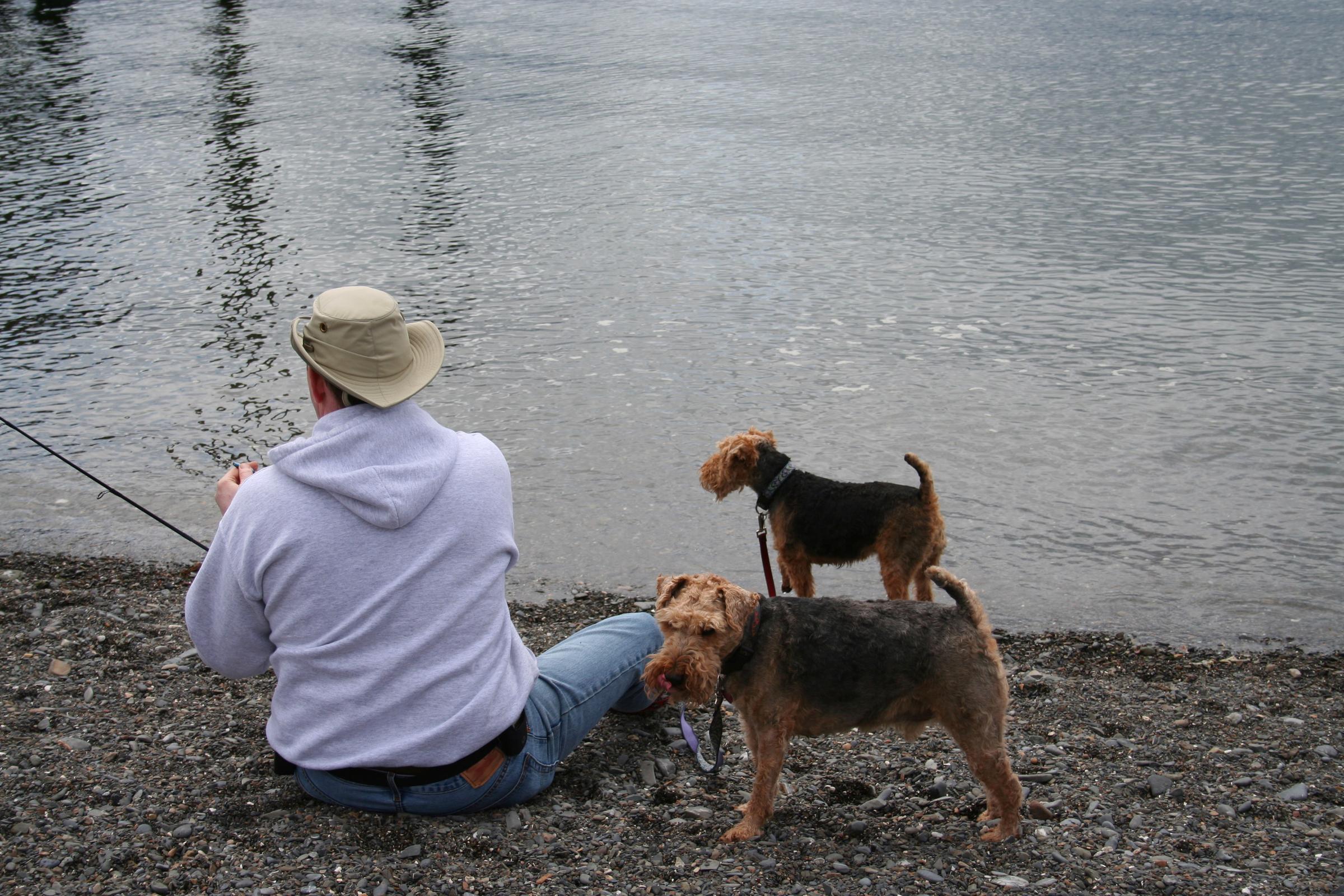 Dog Friendly Homer Ak Bringfido