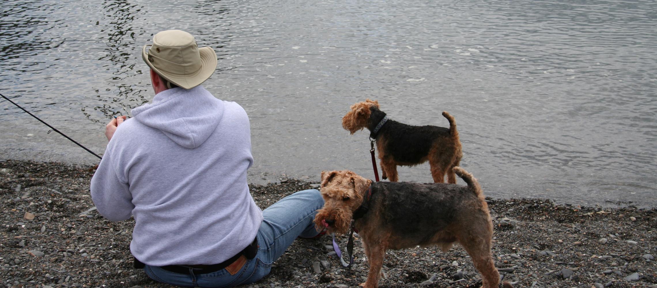 Dog Friendly Homer, AK