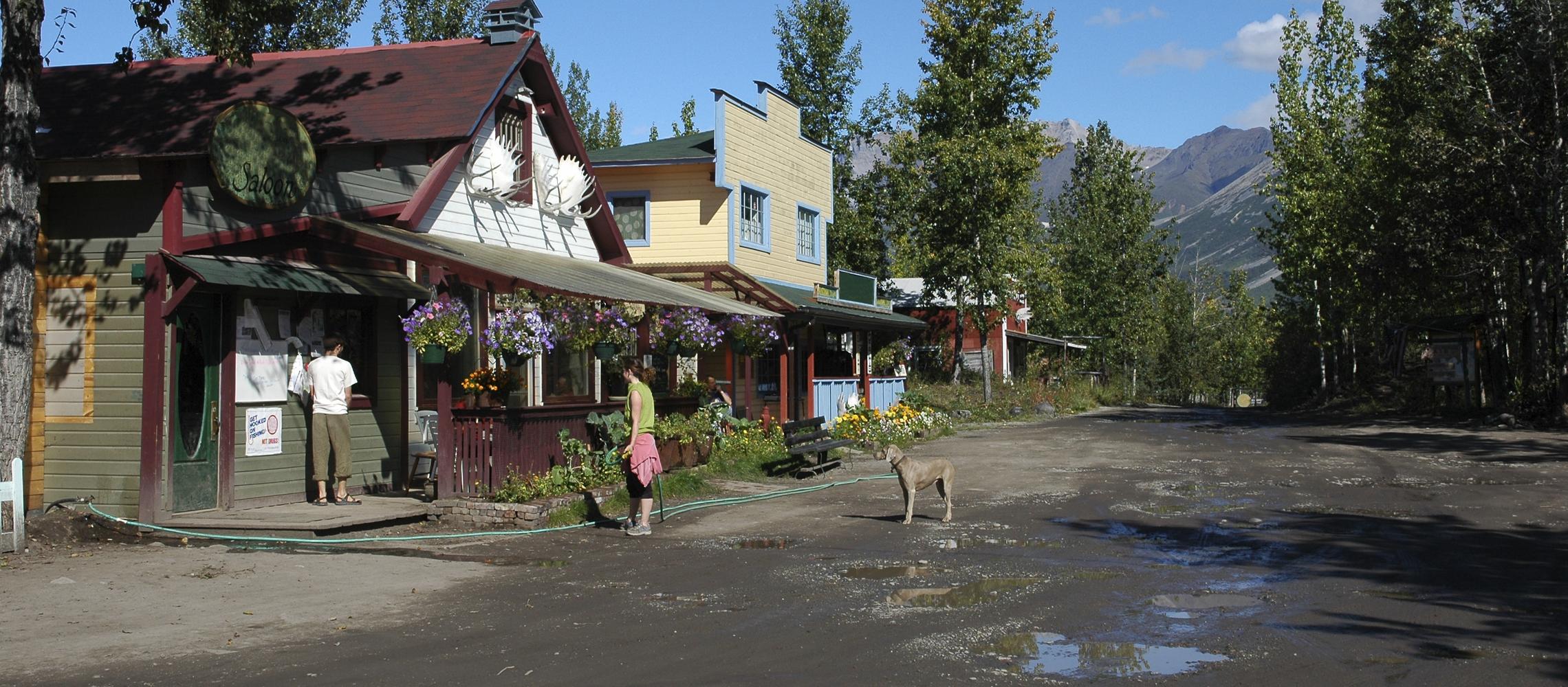 Dog Friendly McCarthy, AK
