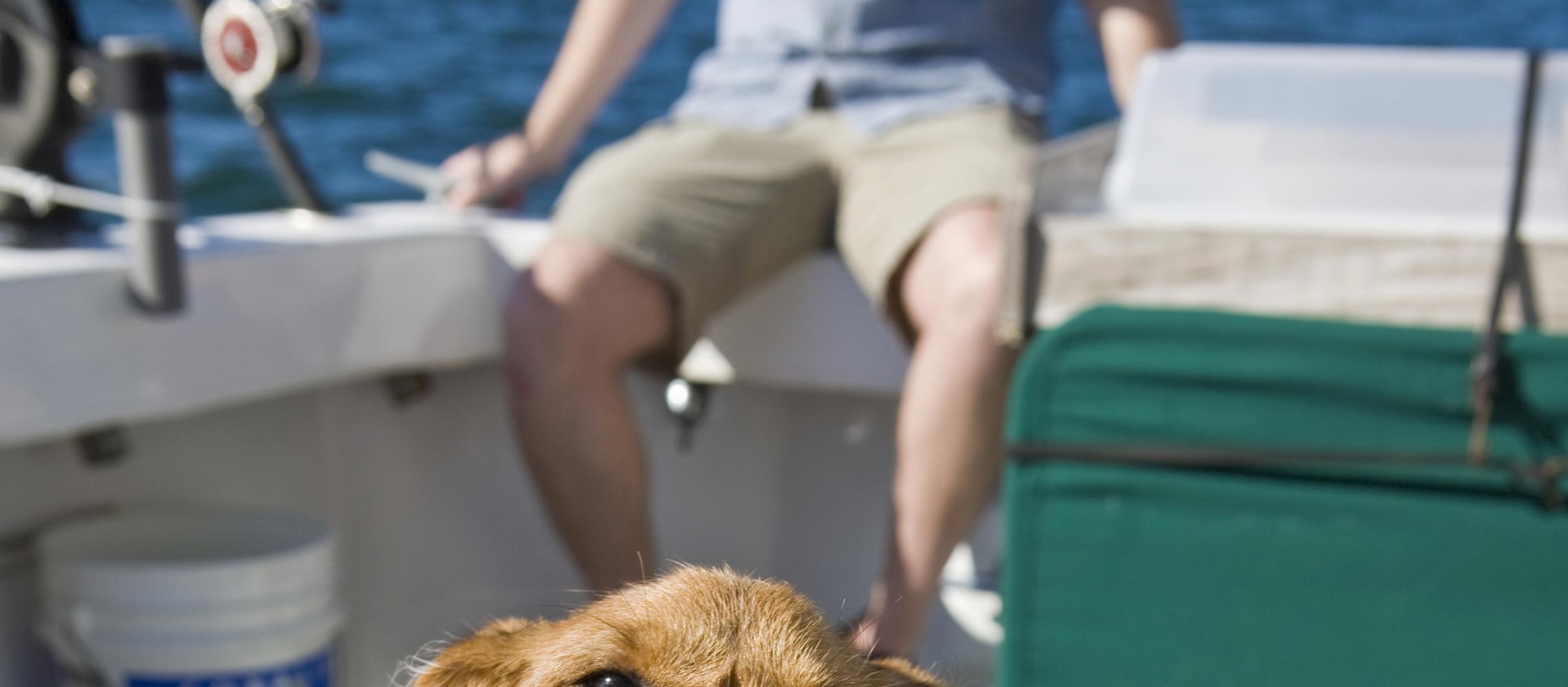 Dog Friendly Captiva Island, FL