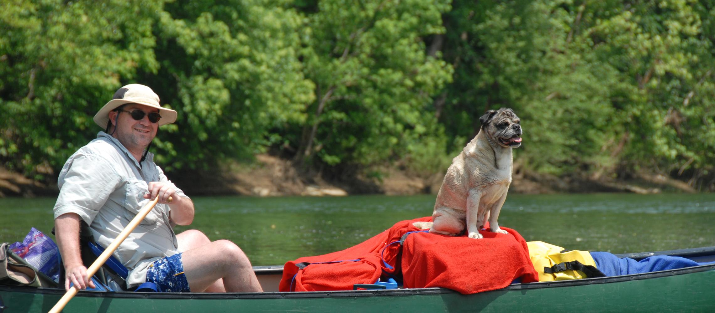 Dog Friendly Saint Joe, AR