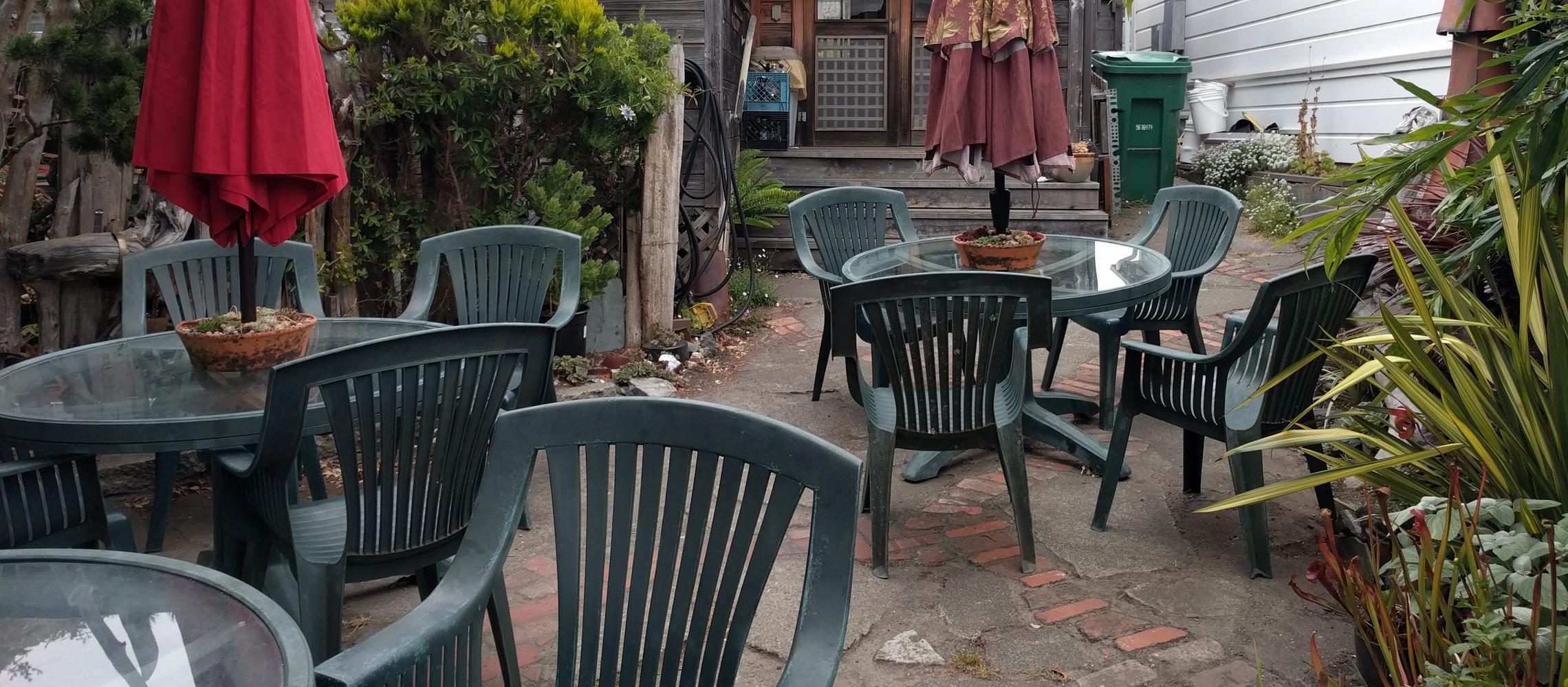 The dog friendly back patio. The dog friendly back patio.