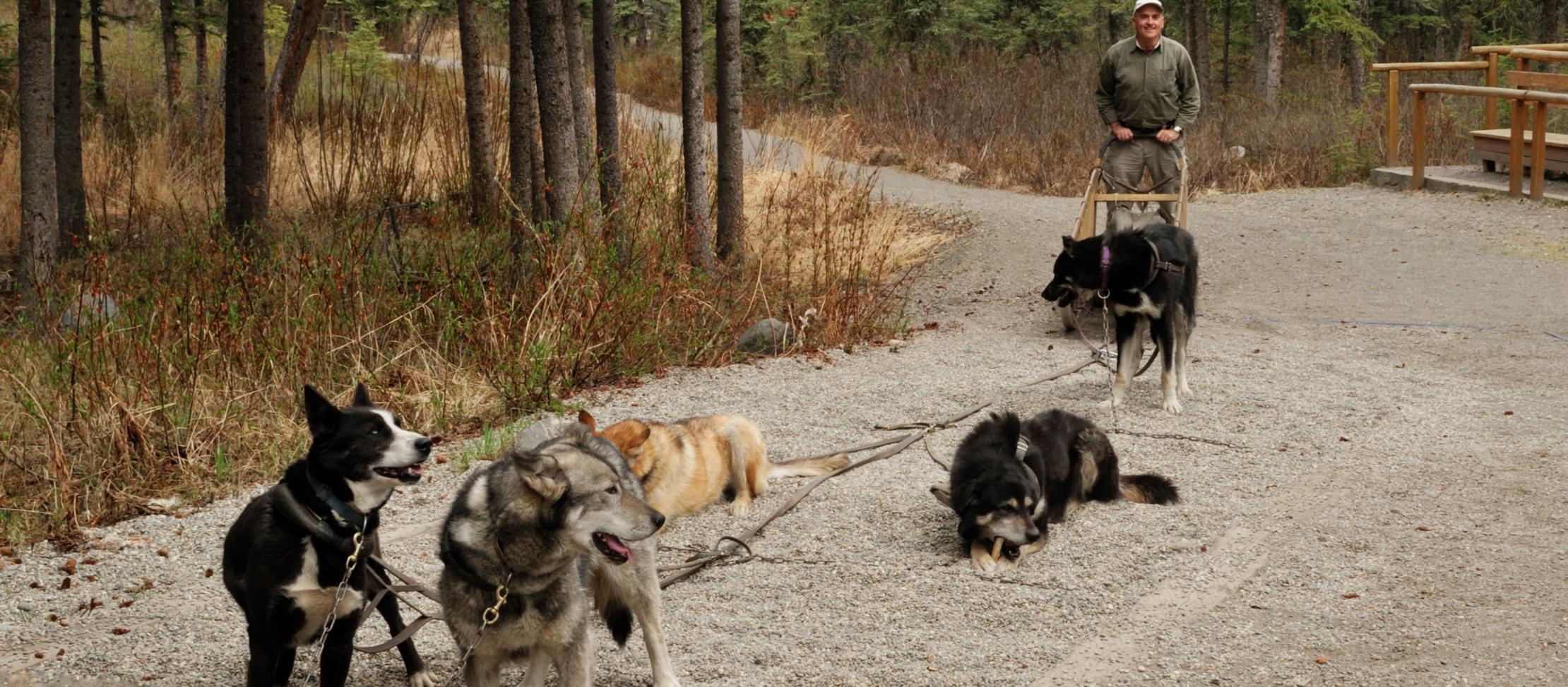 Dog Friendly Healy, AK