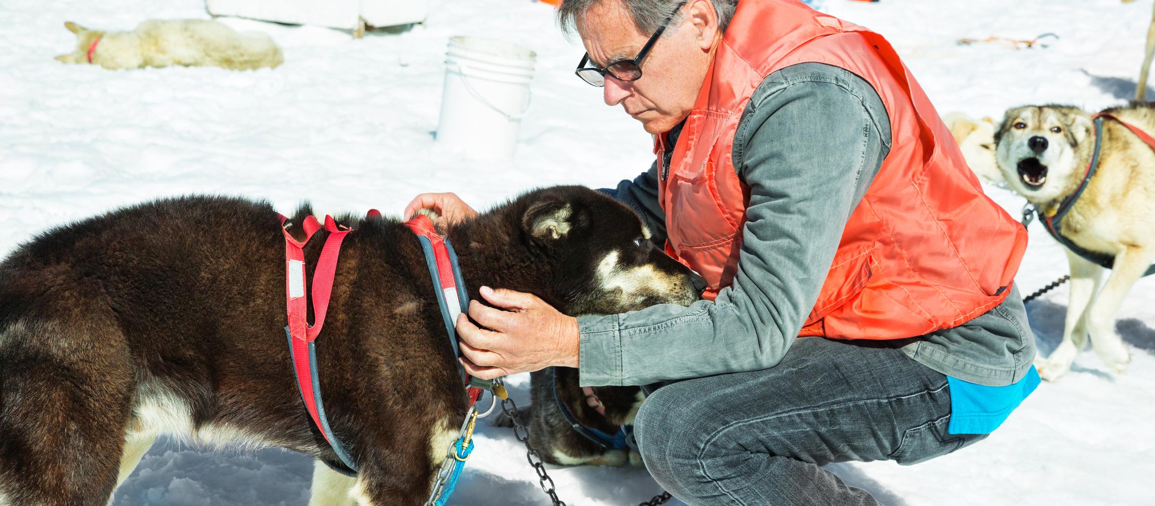 Dog Friendly Skagway, AK