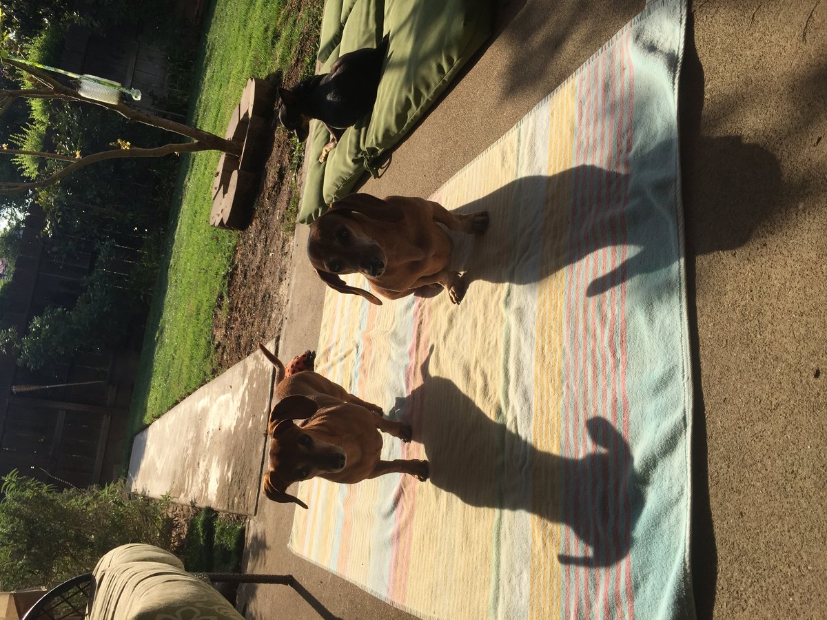 We recently  stayed with Sandra and loved it!