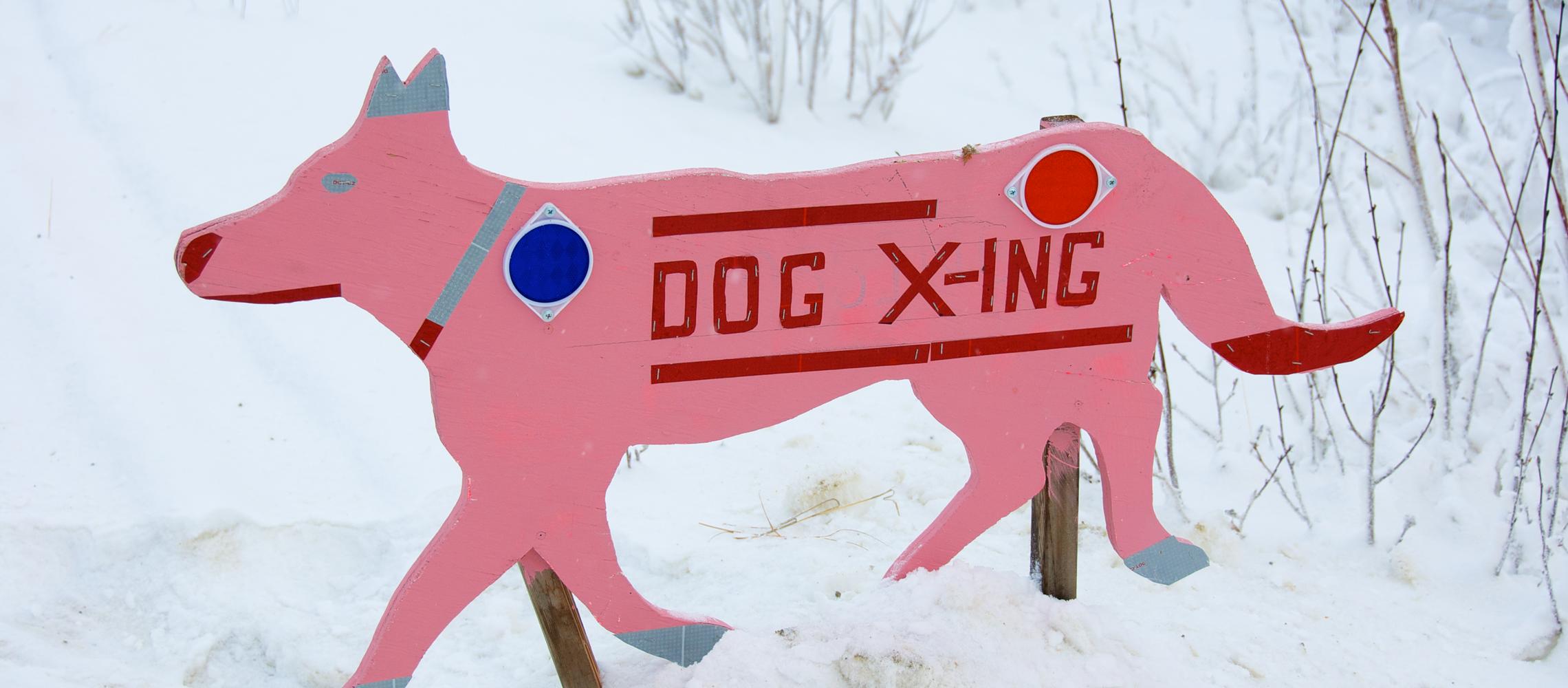 Dog Friendly North Pole, AK