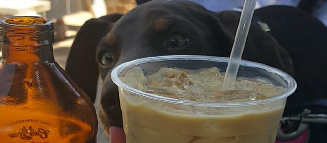 Must try the cold brew coffee with the restaurants homemade vanilla creamer! Must try the cold brew coffee with the restaurants homemade vanilla creamer!