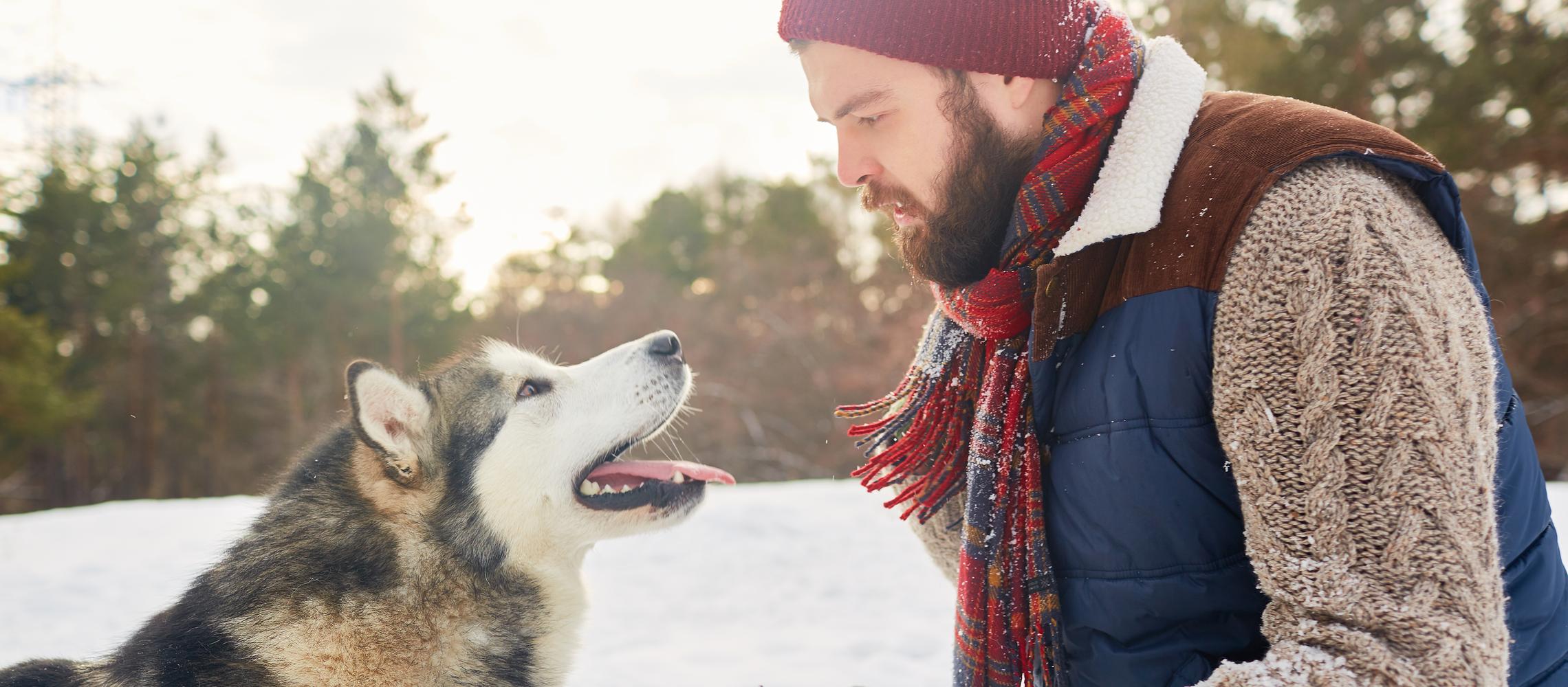 Dog Friendly Sutton Alpine, AK