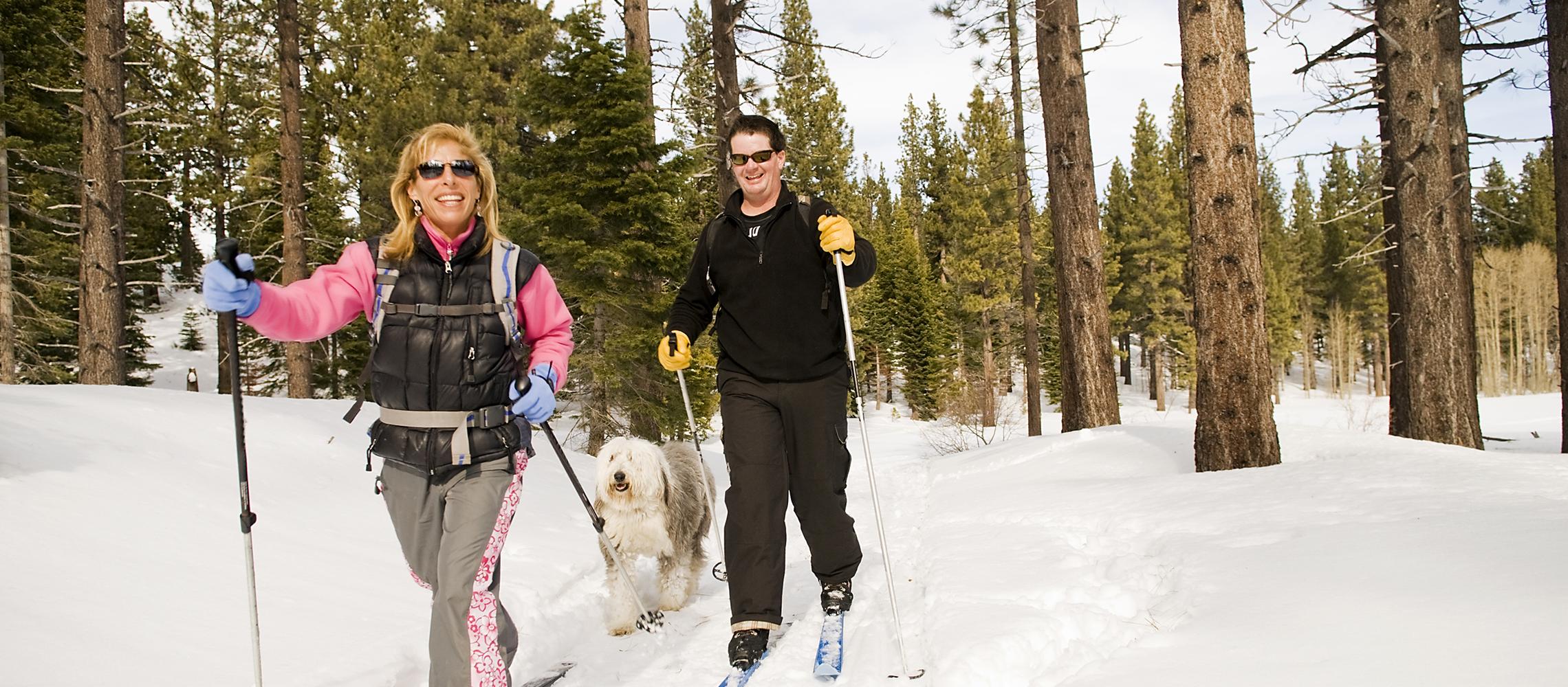 Dog Friendly Northwest Territories