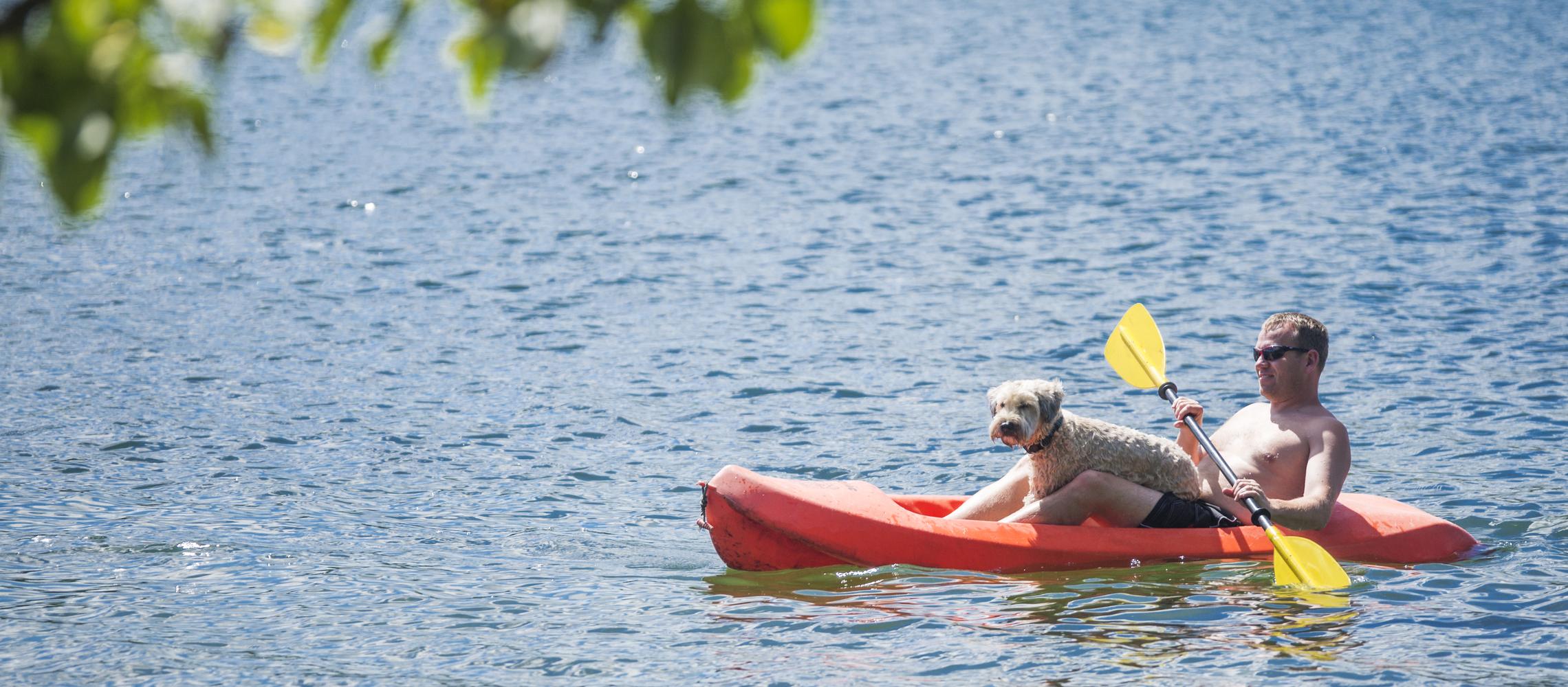 Dog Friendly Two Harbors, MN