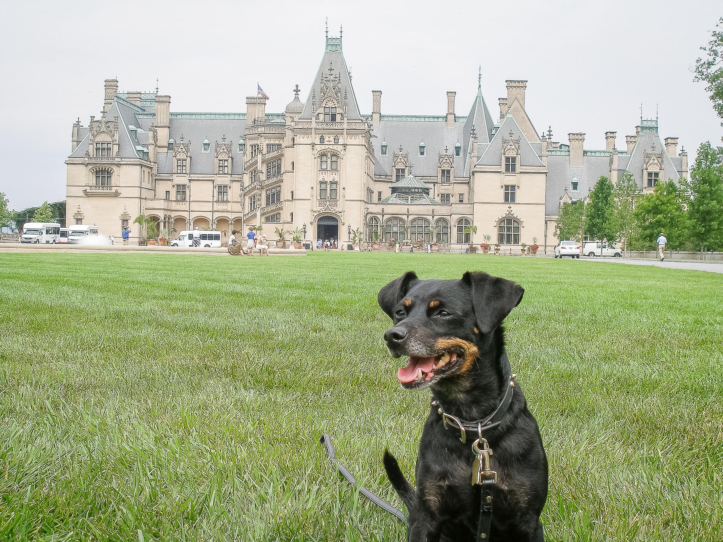 Biltmore Estate Dog Friendly Activities