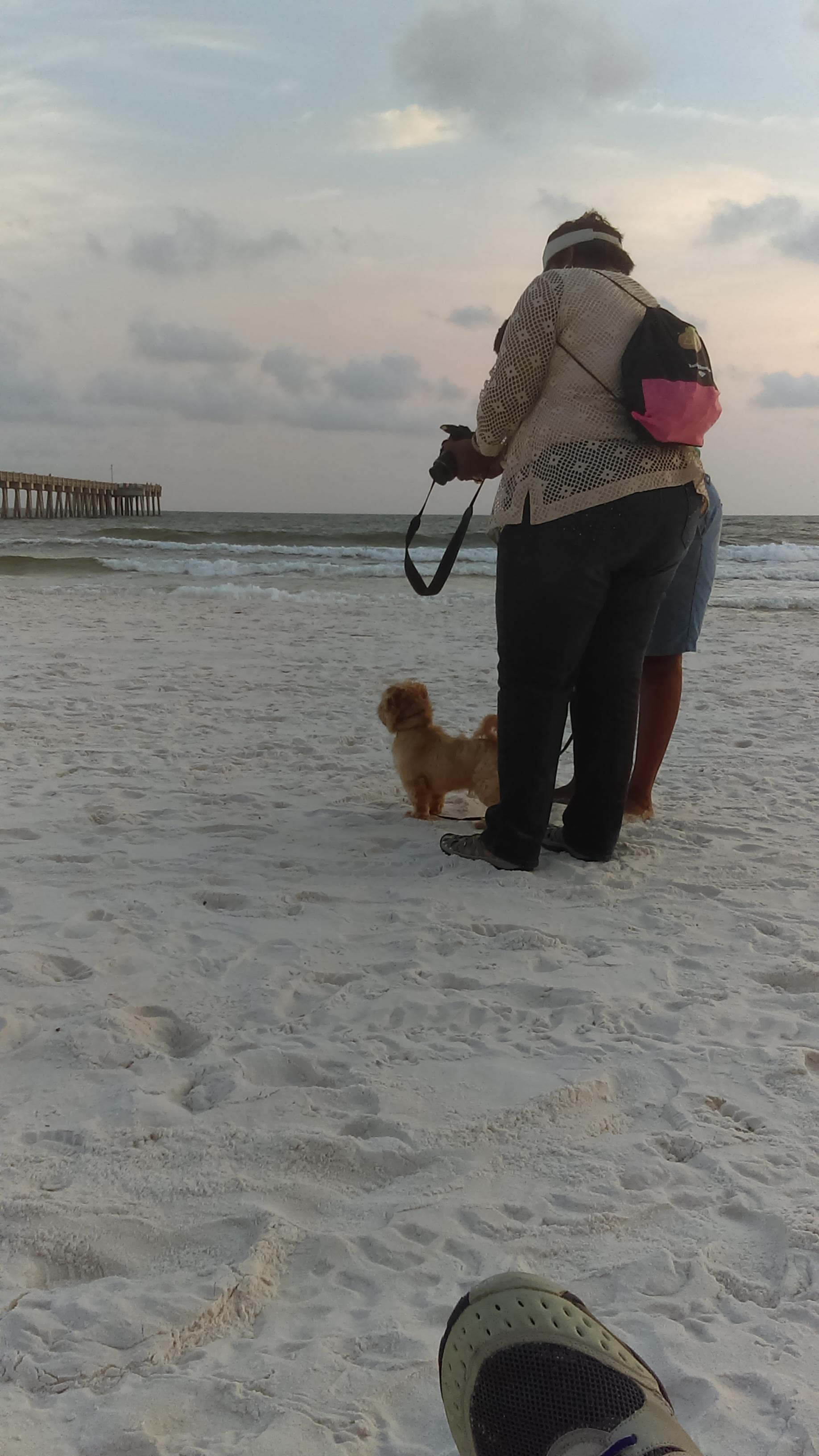 are dogs allowed at pier park