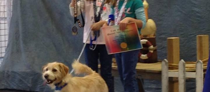 Dog Friendly Somerset, KY