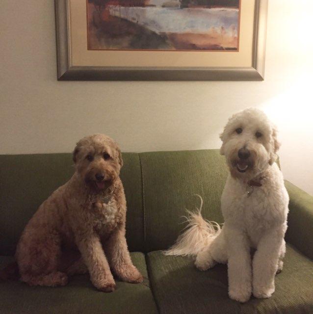 Dog Friendly Pennsylvania