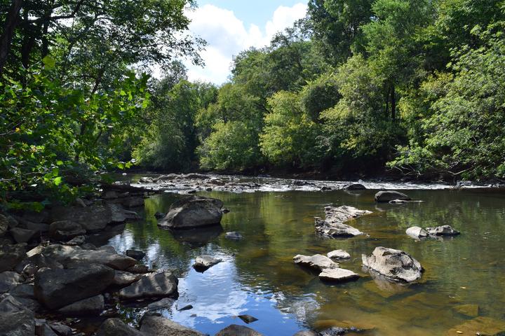 Pet Friendly Shallow Ford Natural Area