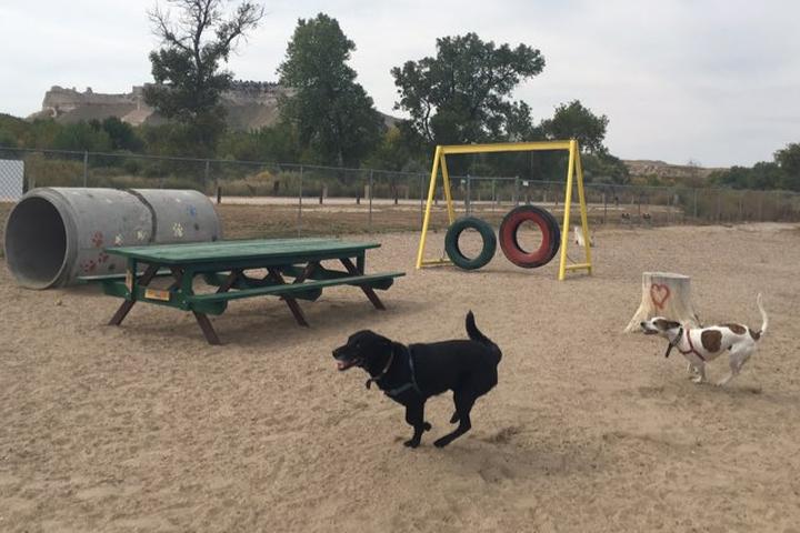 Pet Friendly Riverside Dog Park