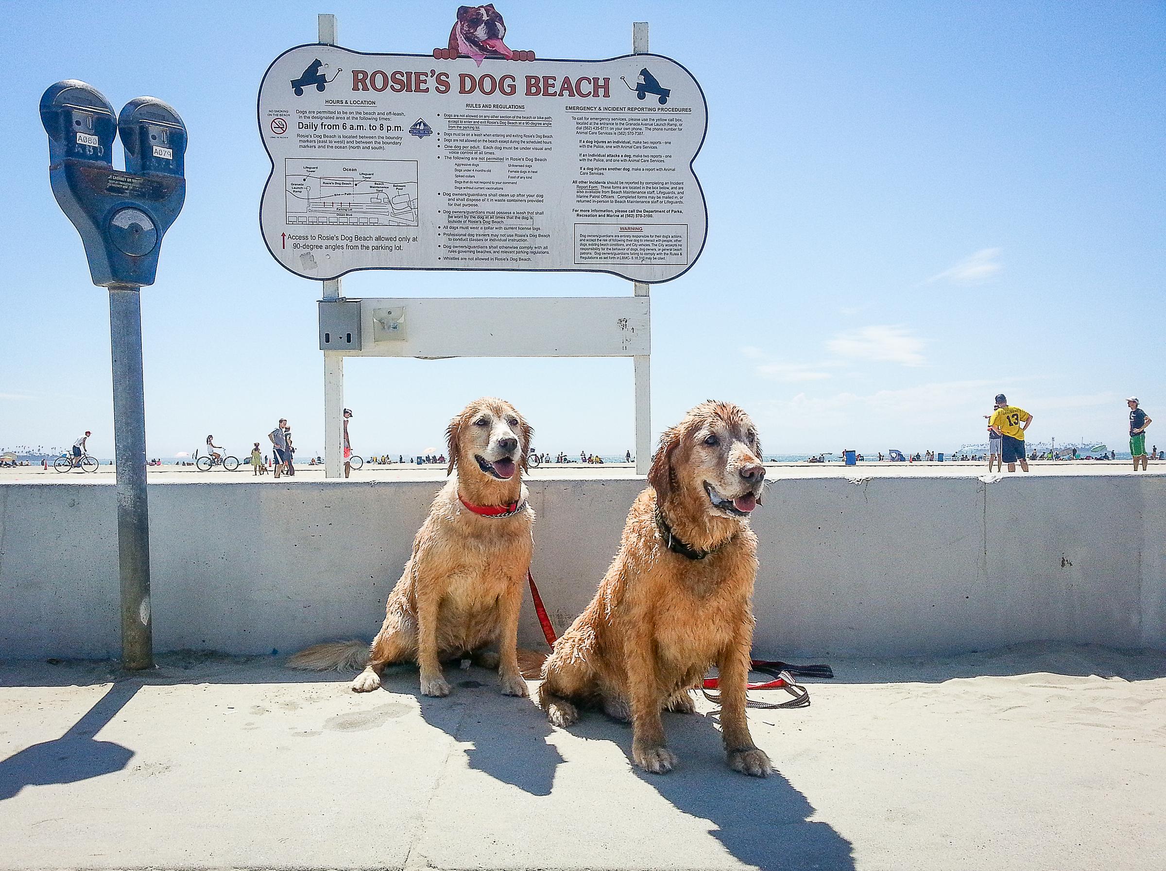 Rosie's Dog Beach of Long Beach