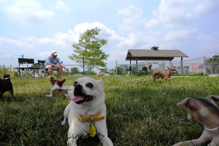 Pet Friendly Trantina Farm Dog Park