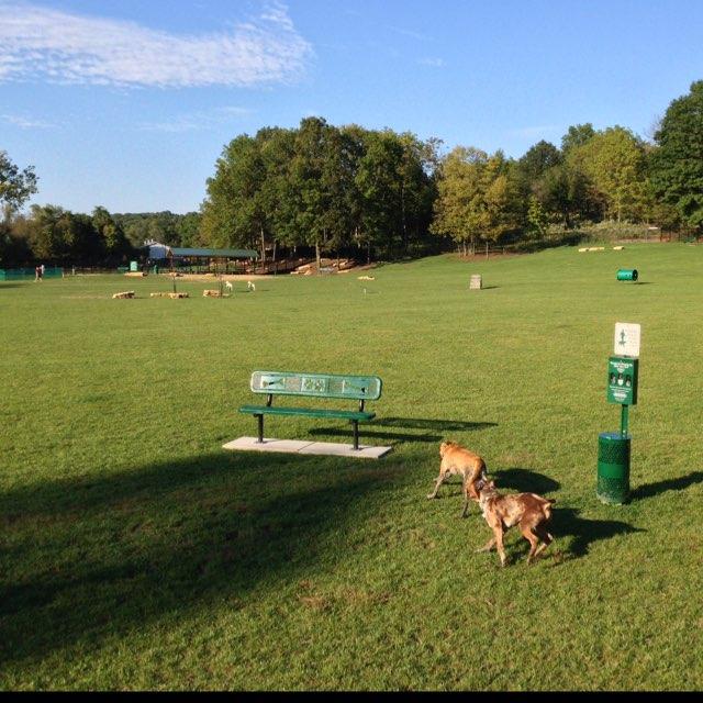 Tails & Trails at Queeny Park Tails & Trails at Queeny Park
