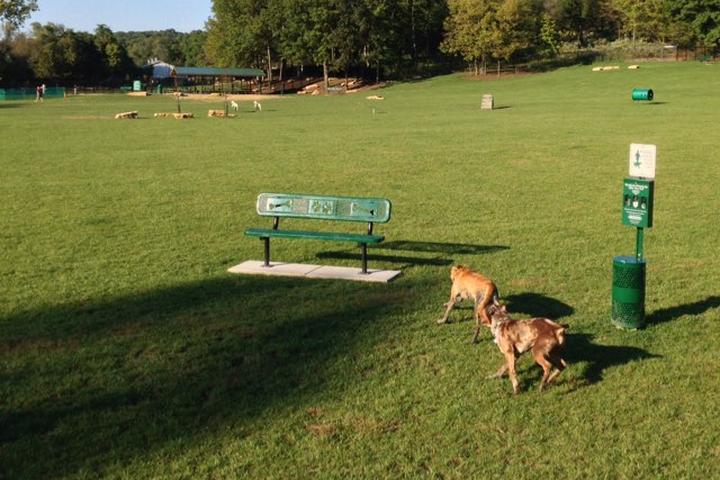 Dog Friendly Activities In Creve Coeur Mo Bringfido Dog Friendly Activities In Creve Coeur Mo Bringfido
