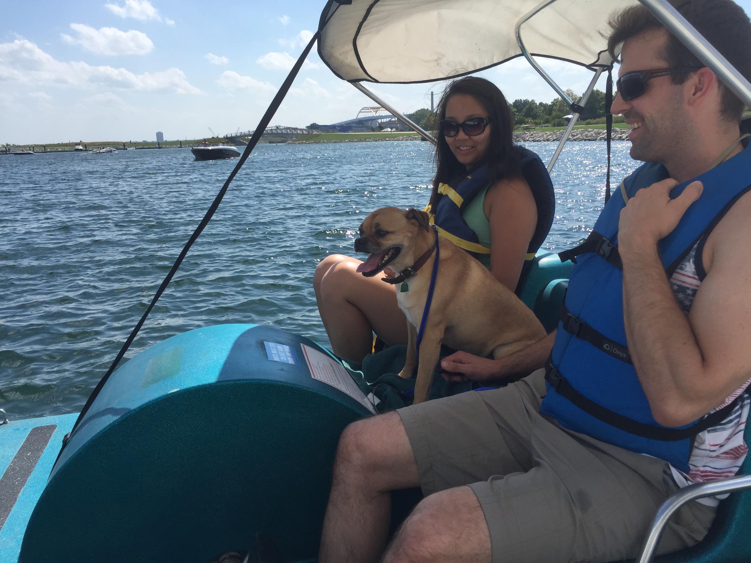 Pet Friendly Lakeshore Paddle Sport Rentals