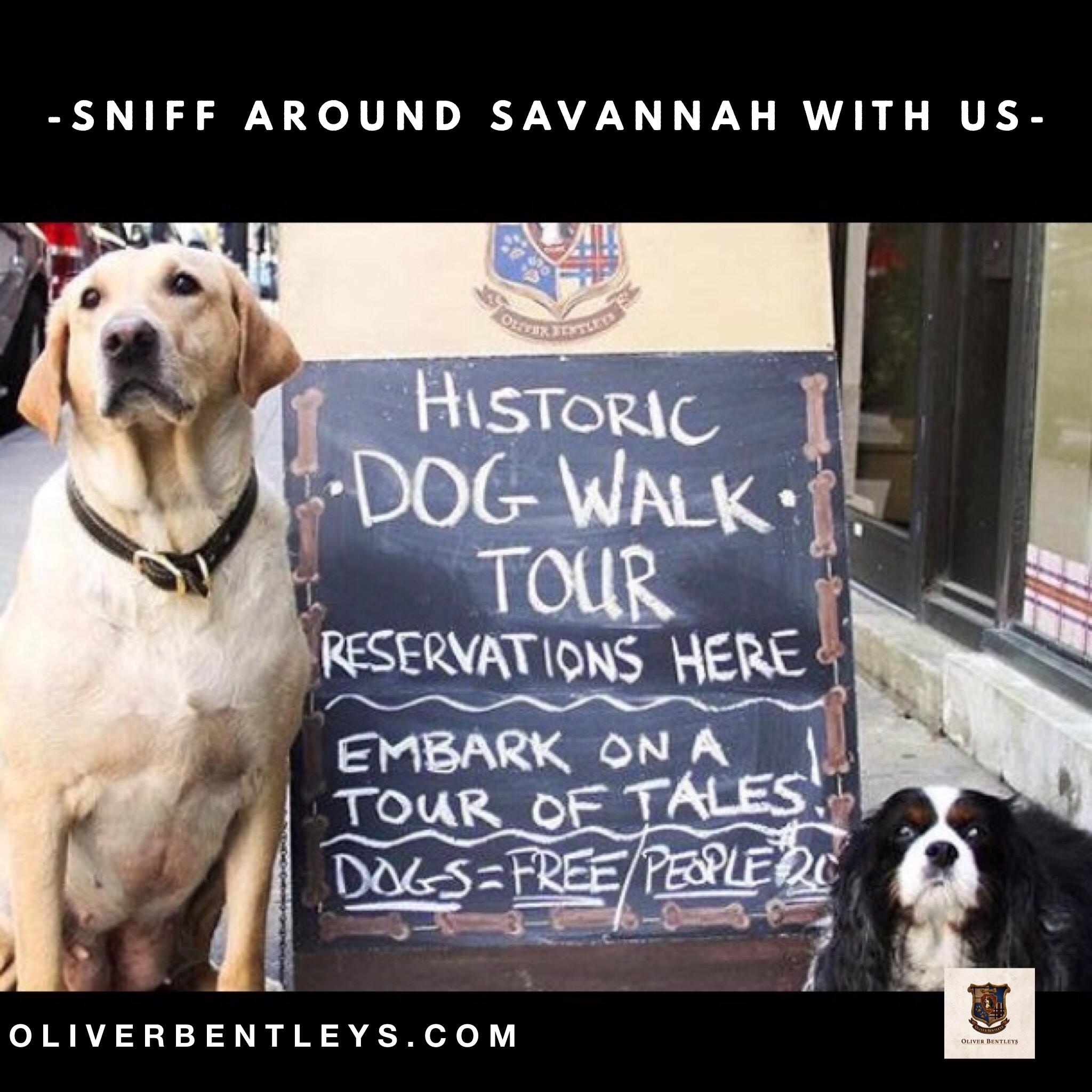 Oliver Bentleys Historic Dog Walk Tour