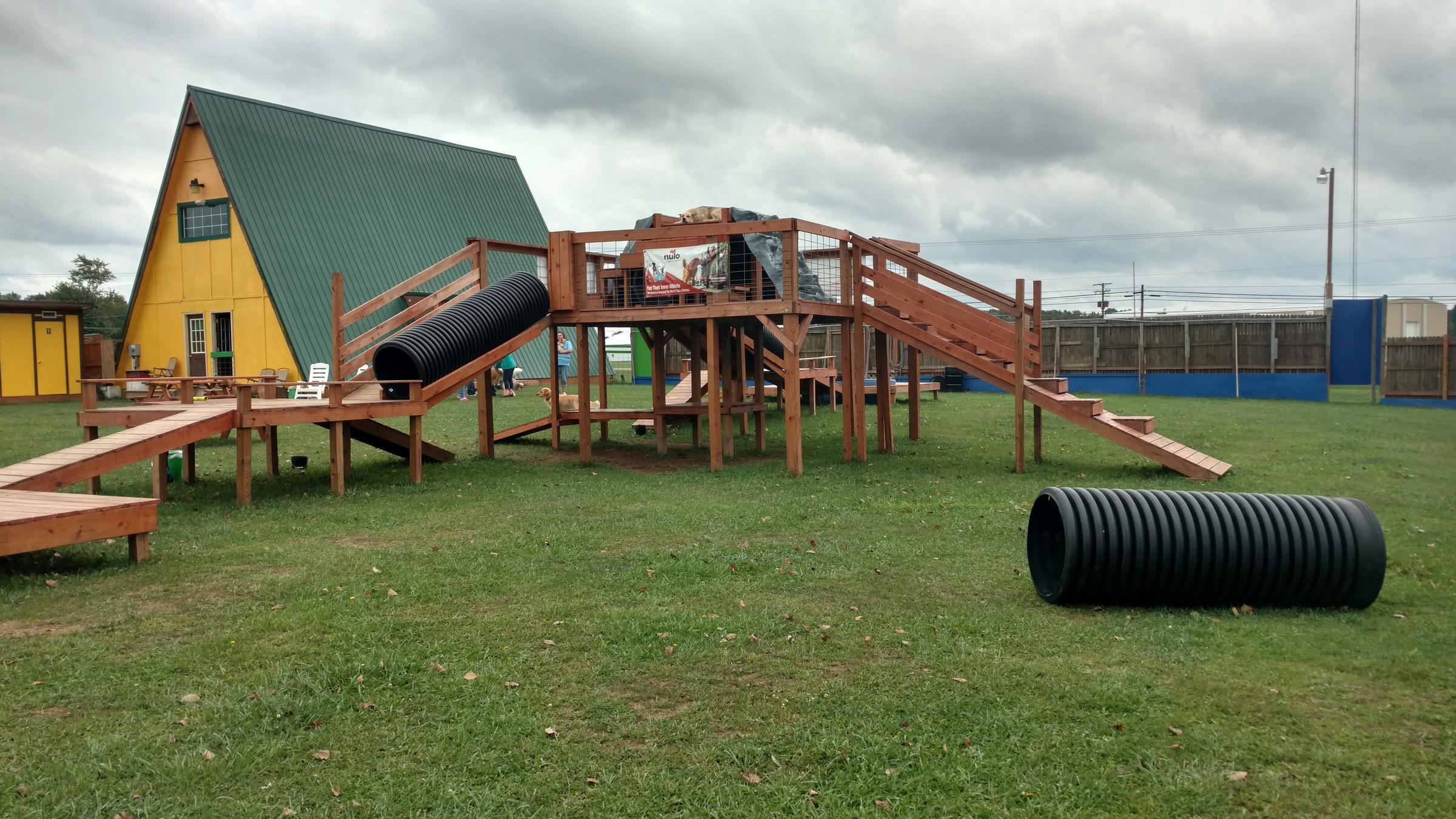 Adventure Mountain Dog Park