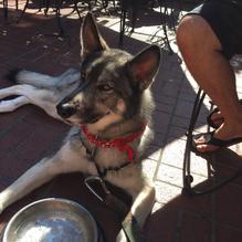 The Alley restaurant view 2