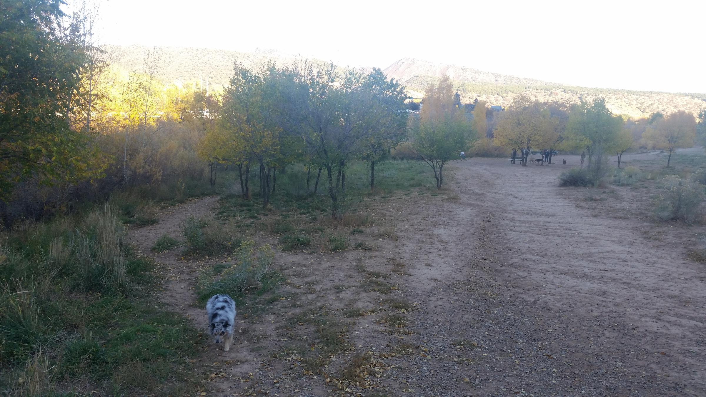 Dixie and I enjoying Durango off leash dog park ⋆ BringFido