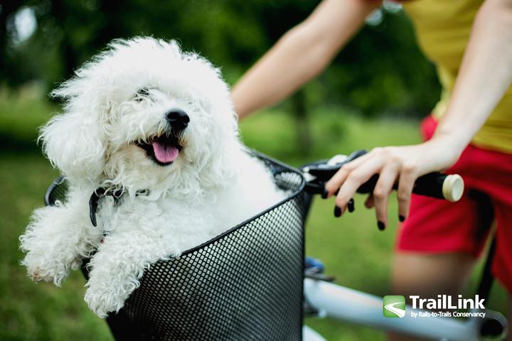 Pet Friendly Ohio & Erie Canal Towpath Trail
