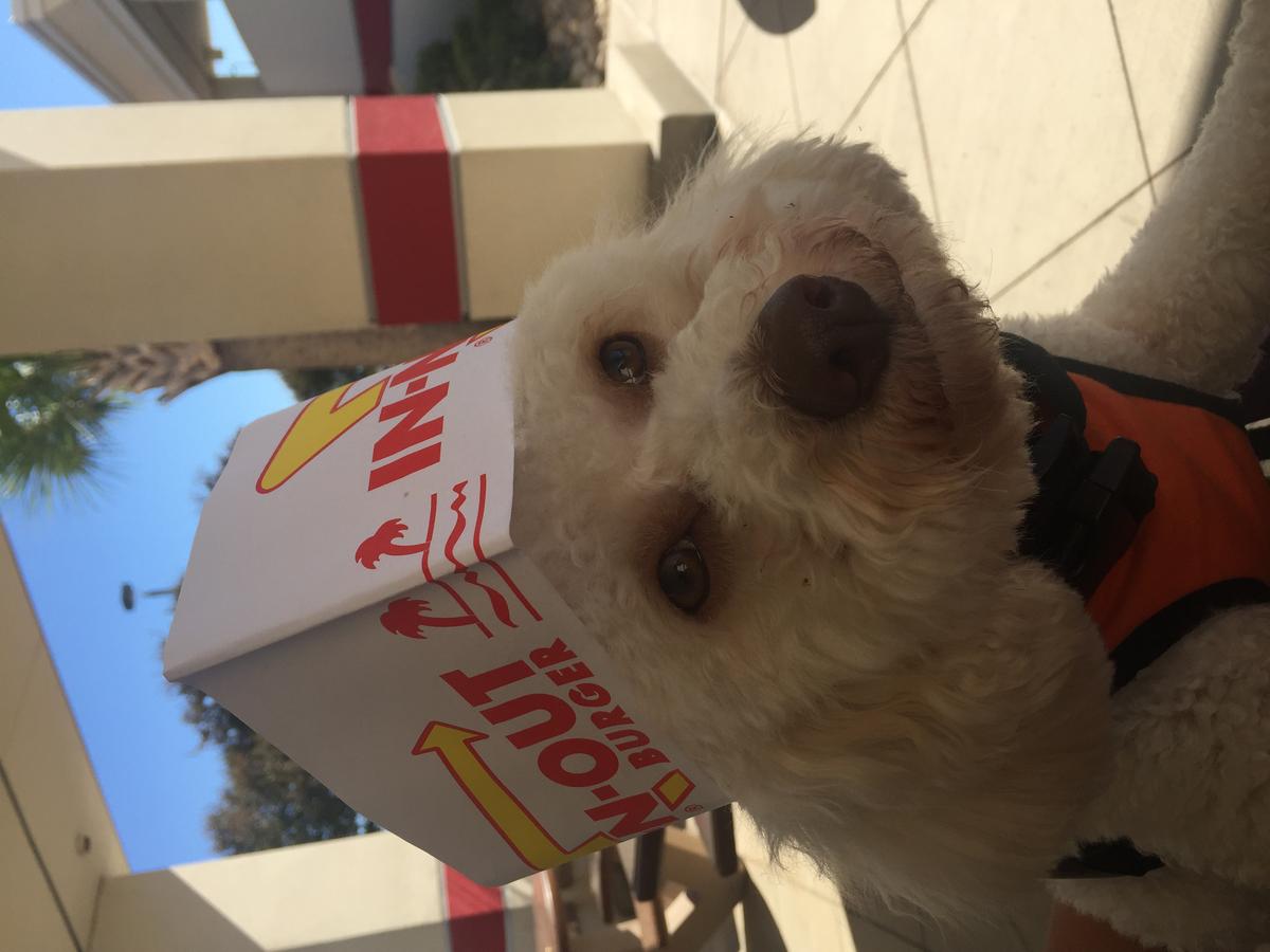 Image of In-N-Out Burger