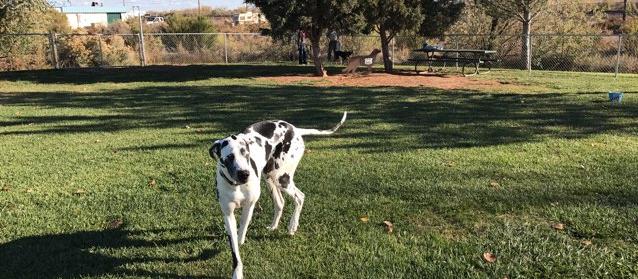 Dog Friendly Holbrook, AZ