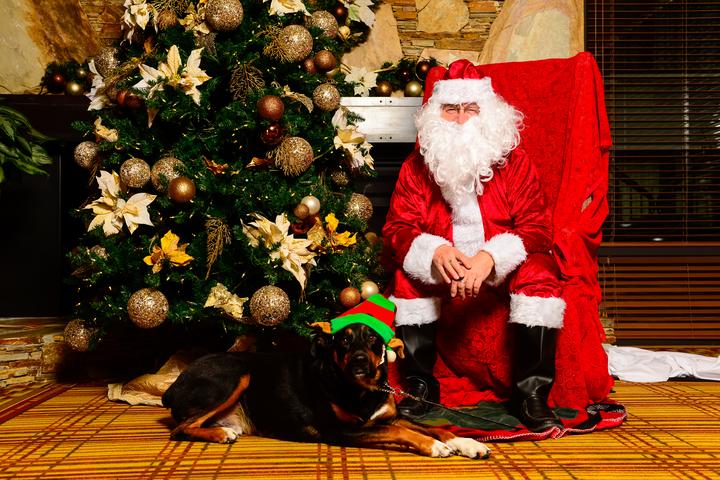 Pet Friendly Bass Pro Shops Santa’s Wonderland