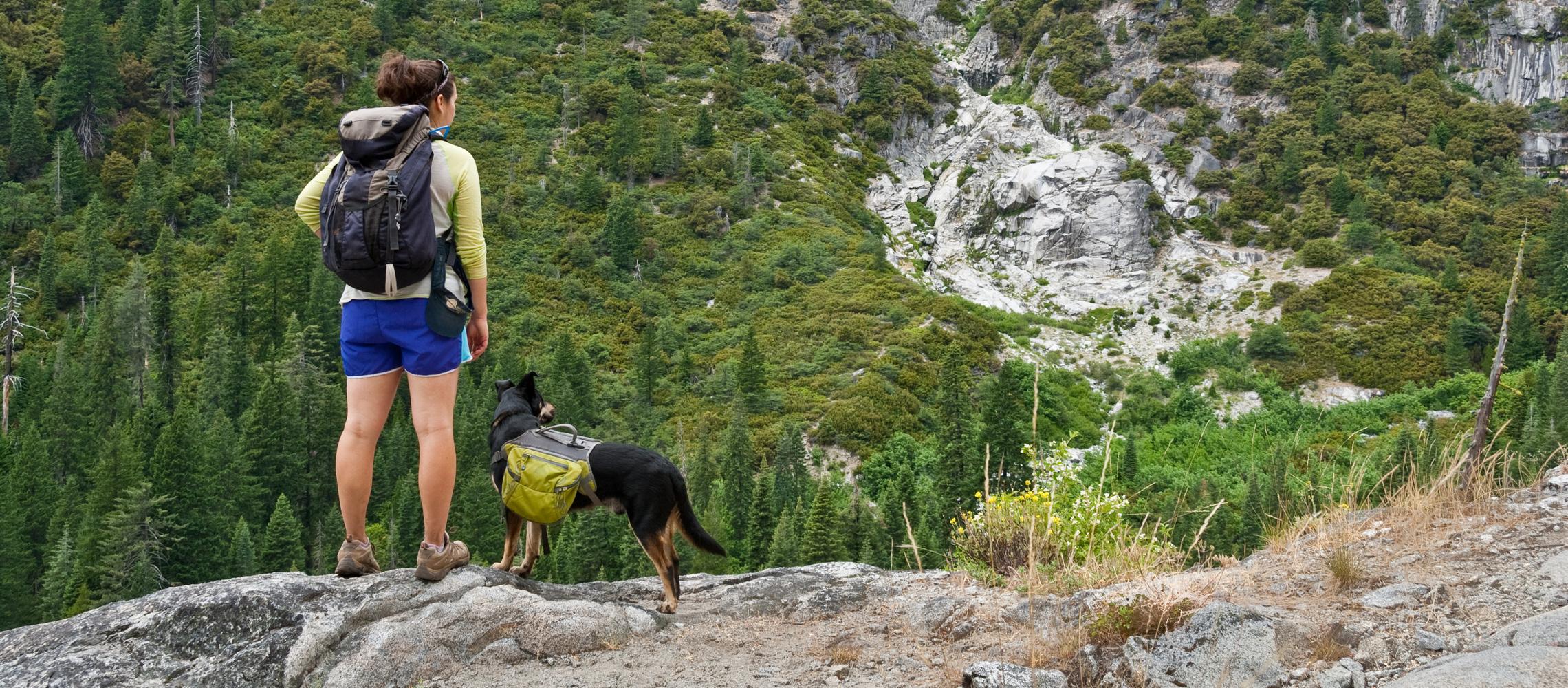 Dog Friendly Weaverville, CA