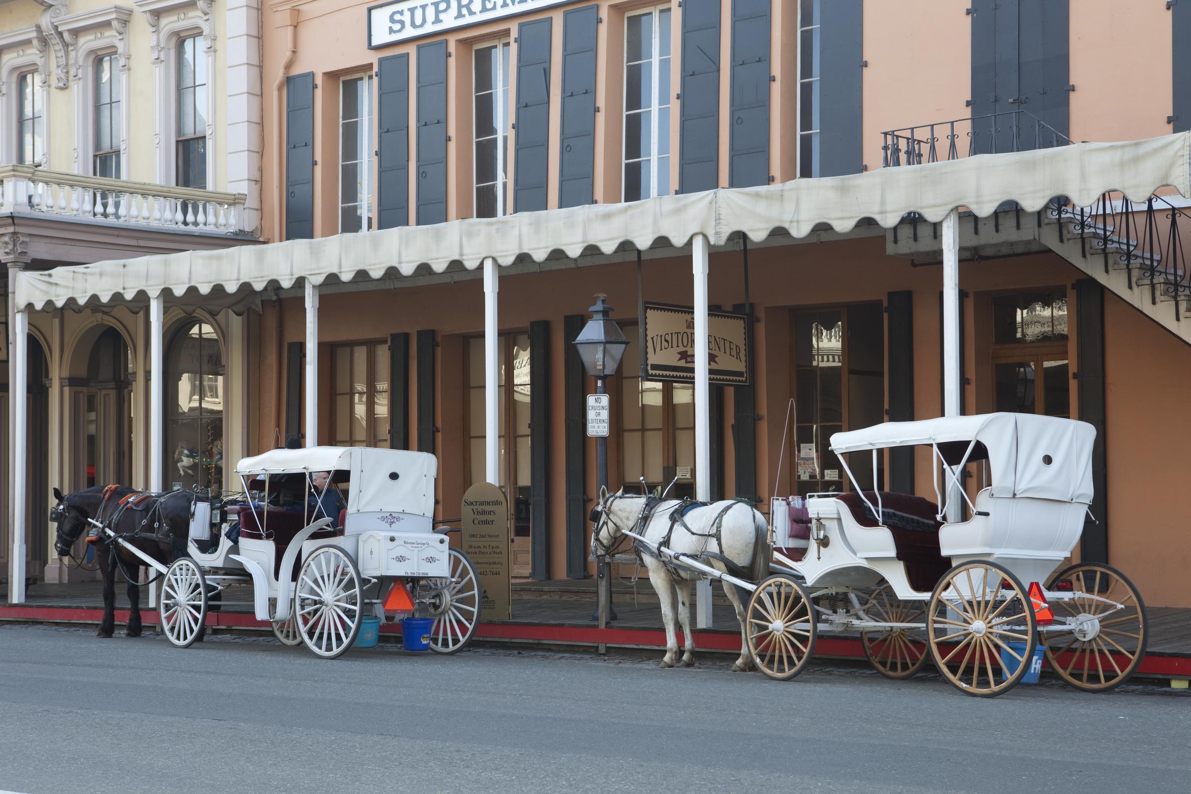 Pet Friendly Carriage Rides in Old Town