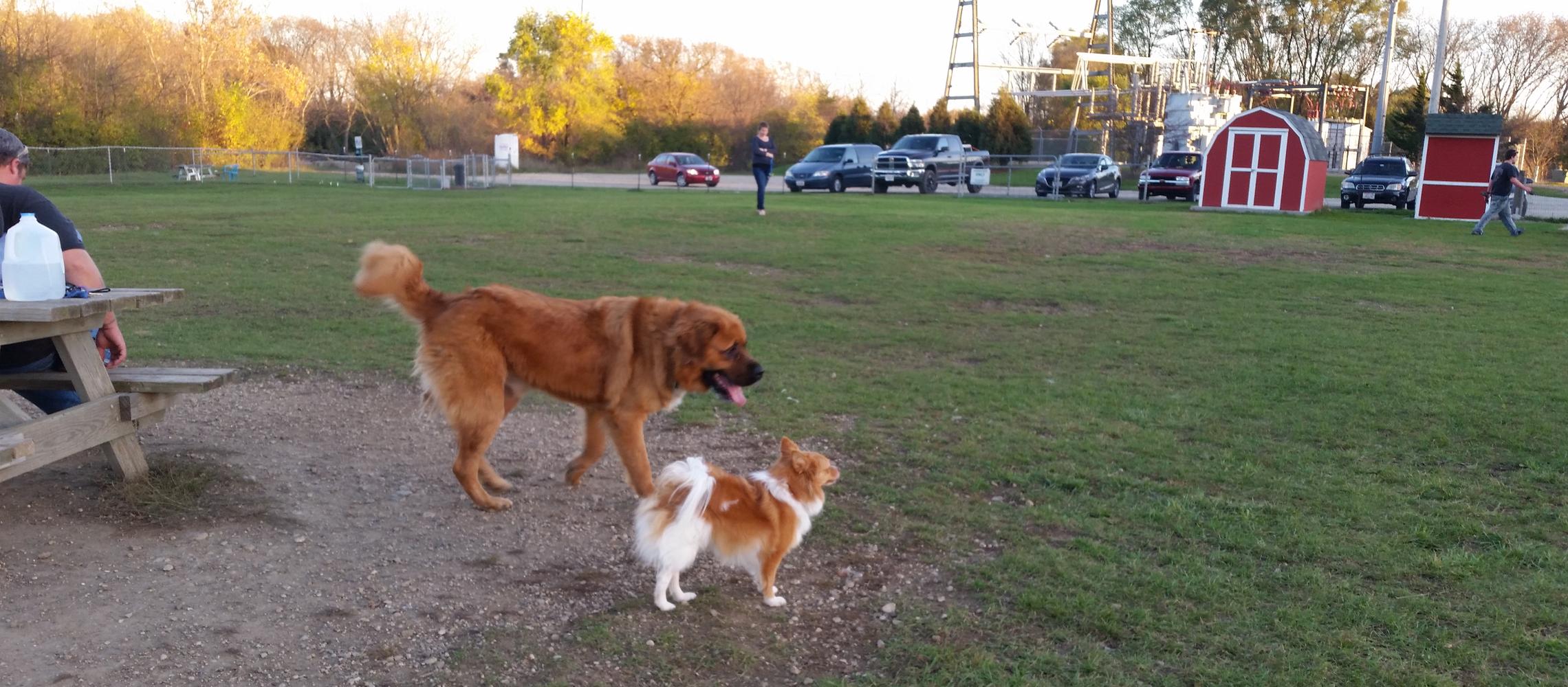 Dog Friendly Burlington, WI