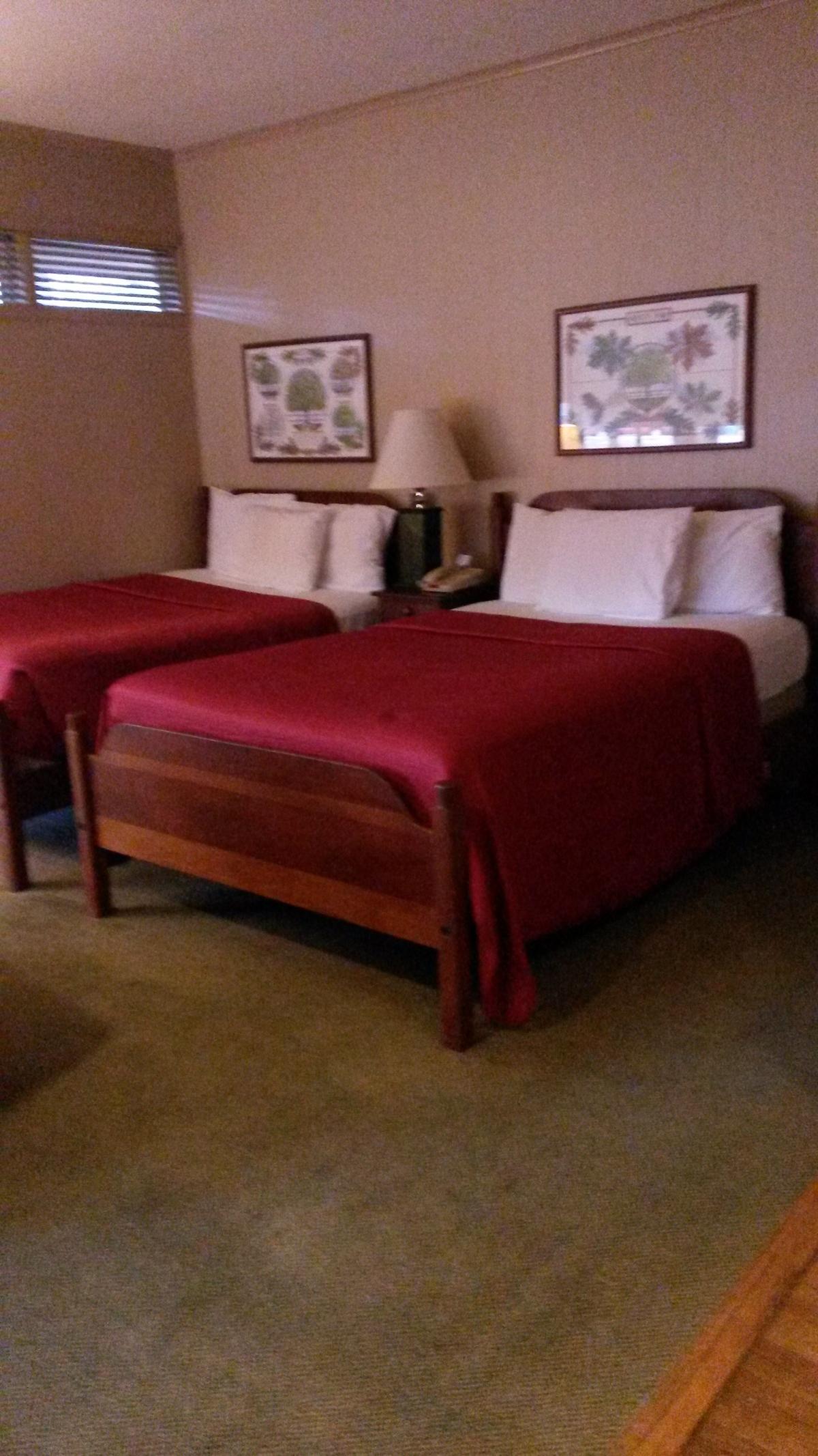 Dog Friendly Williamsburg, VA