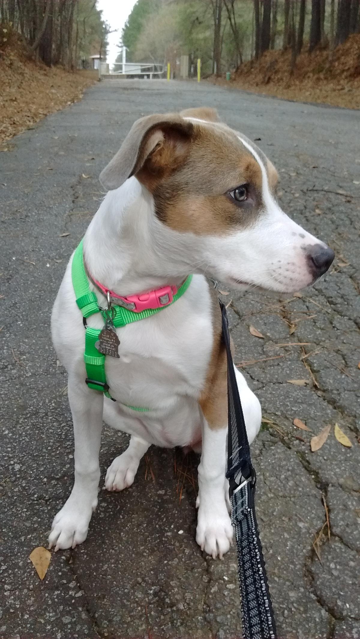 SQUIRREL!@!!