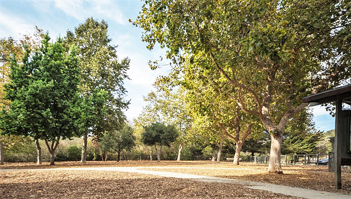 El Chorro Dog Park
