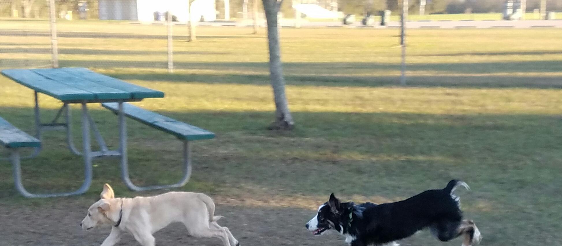 Dog Friendly Daphne, AL