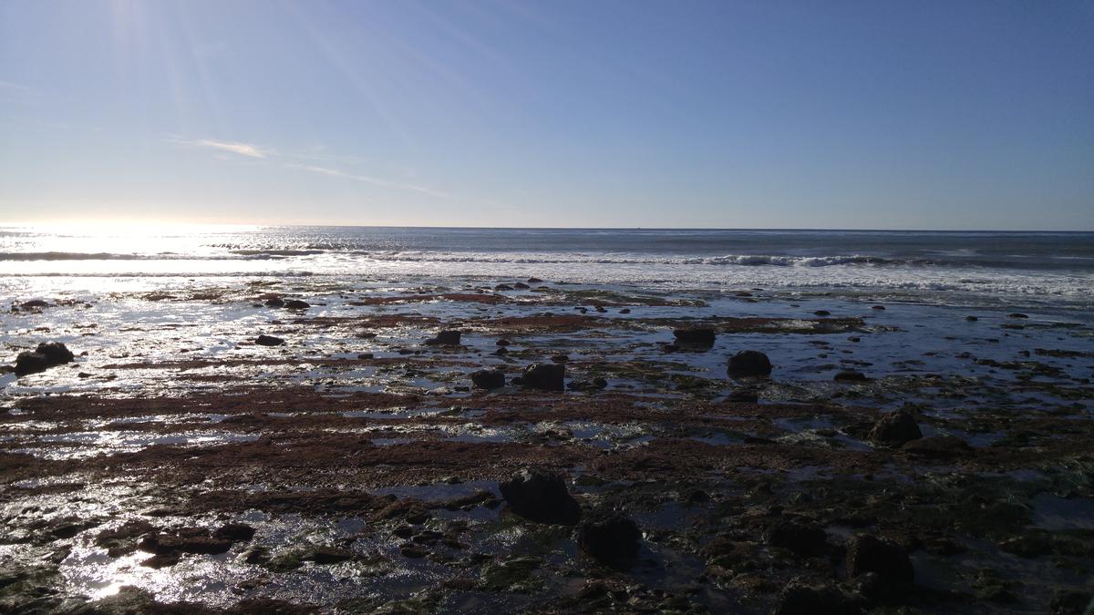 Cabrillo Tide Pools