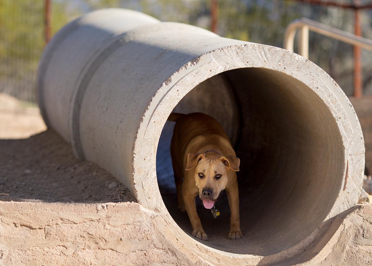 Escape Through The Tunnel