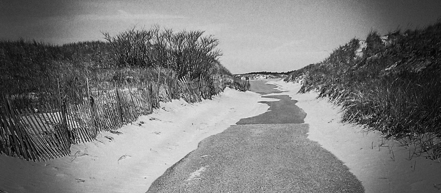 Dog Friendly Westport, MA