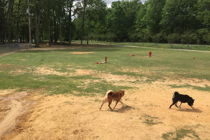 Pet Friendly Tupelo Bark Park