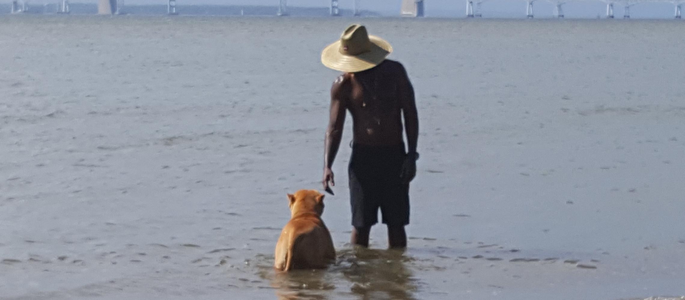 Dog Friendly Stevensville, MD